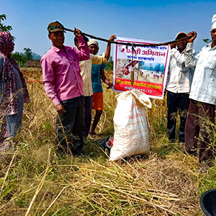 Farmer Who Took A Record Nagali Yield