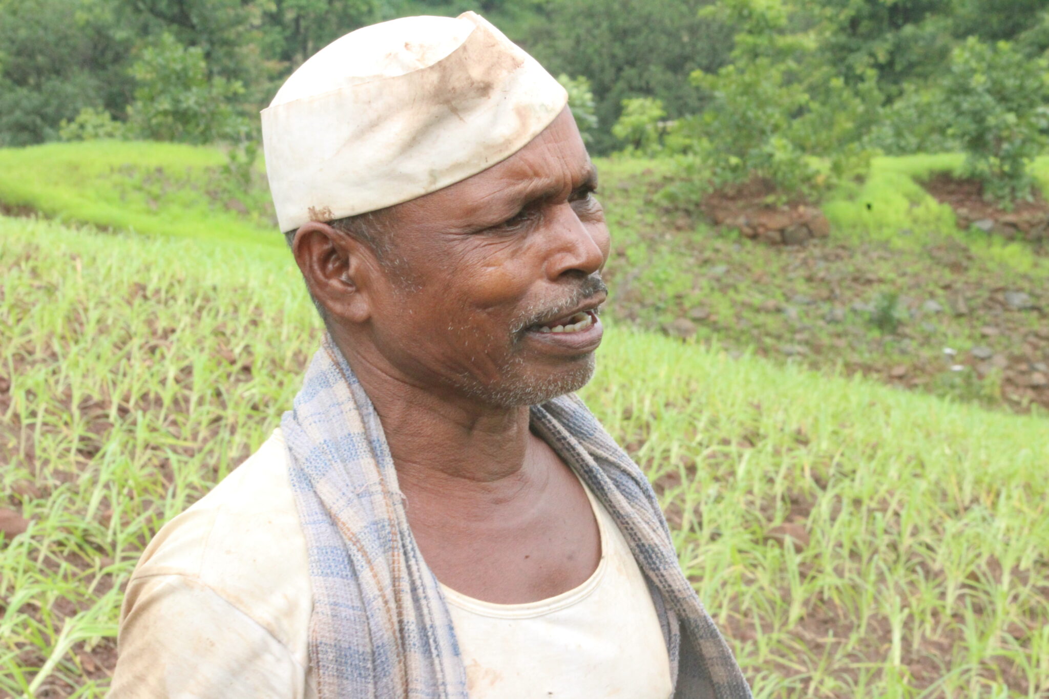 Nagali is an important crop for us