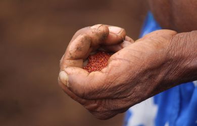 Sustainable Livelihoods