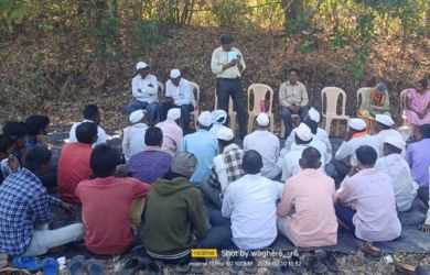 Working with Institutions